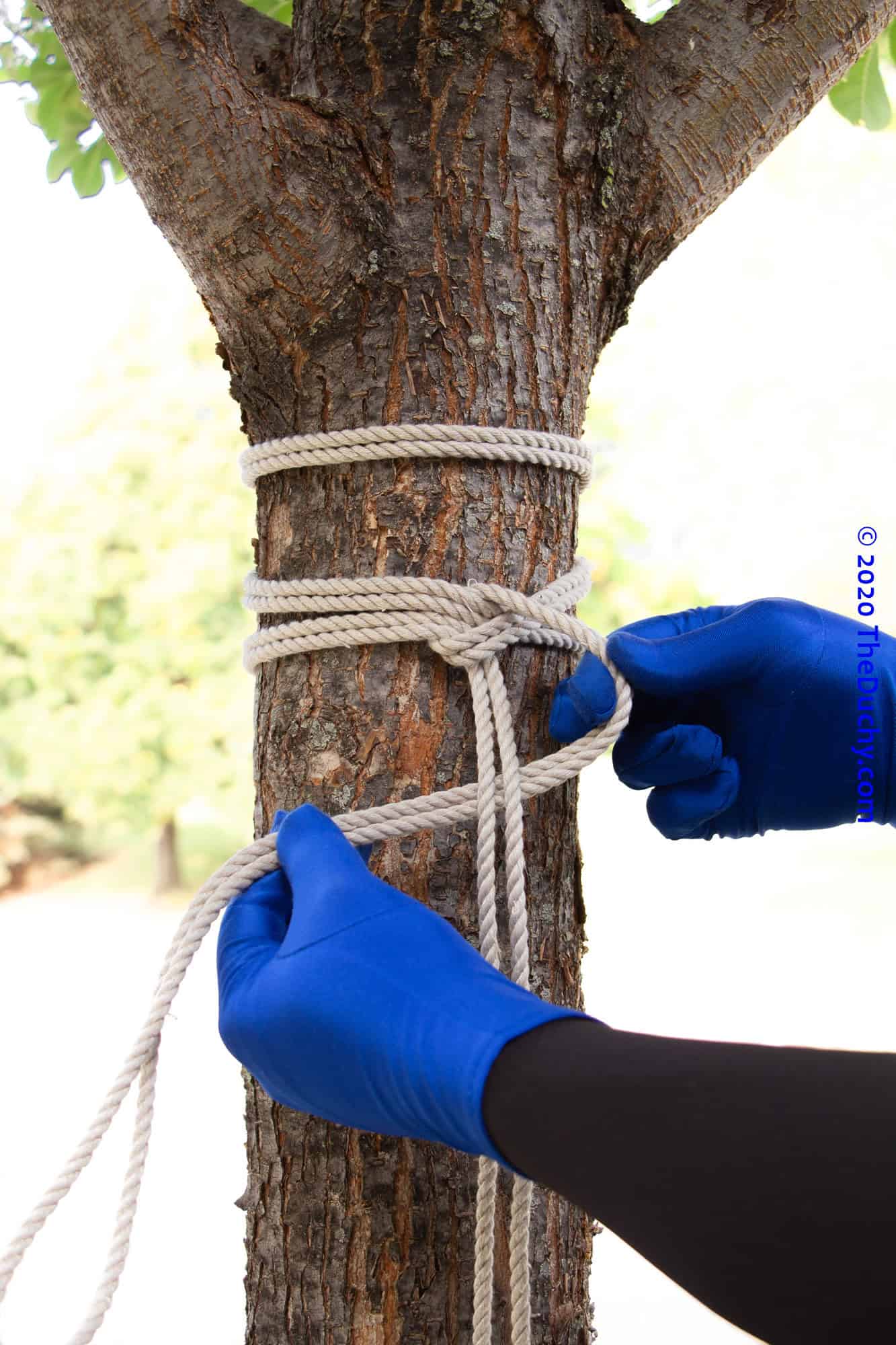 Locking bands locked together and tensioned